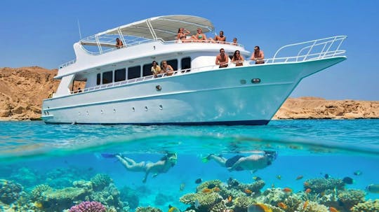 Red Sea cruise to Ras Mohamed with lunch from Sharm El Sheikh