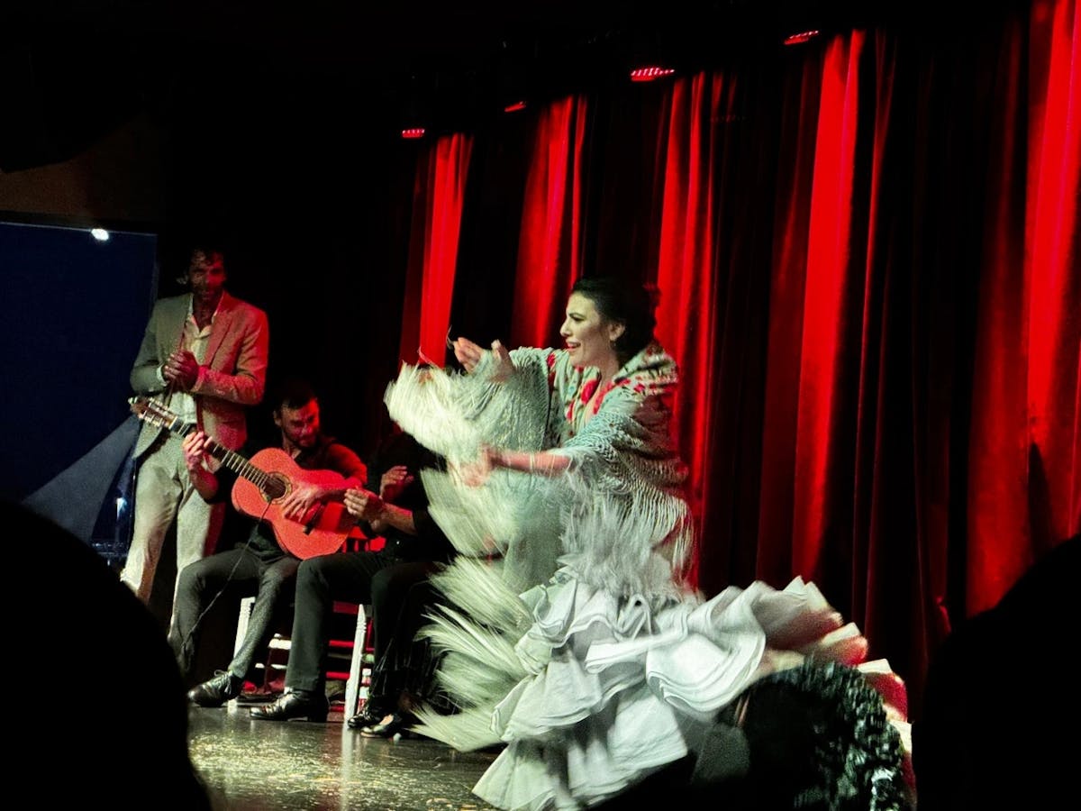 Diner en flamencoshow in de jachthaven van Alicante met privévervoer