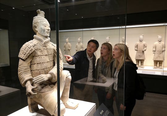 Visita guiada privada de meio dia ao Museu do Exército de Terracota