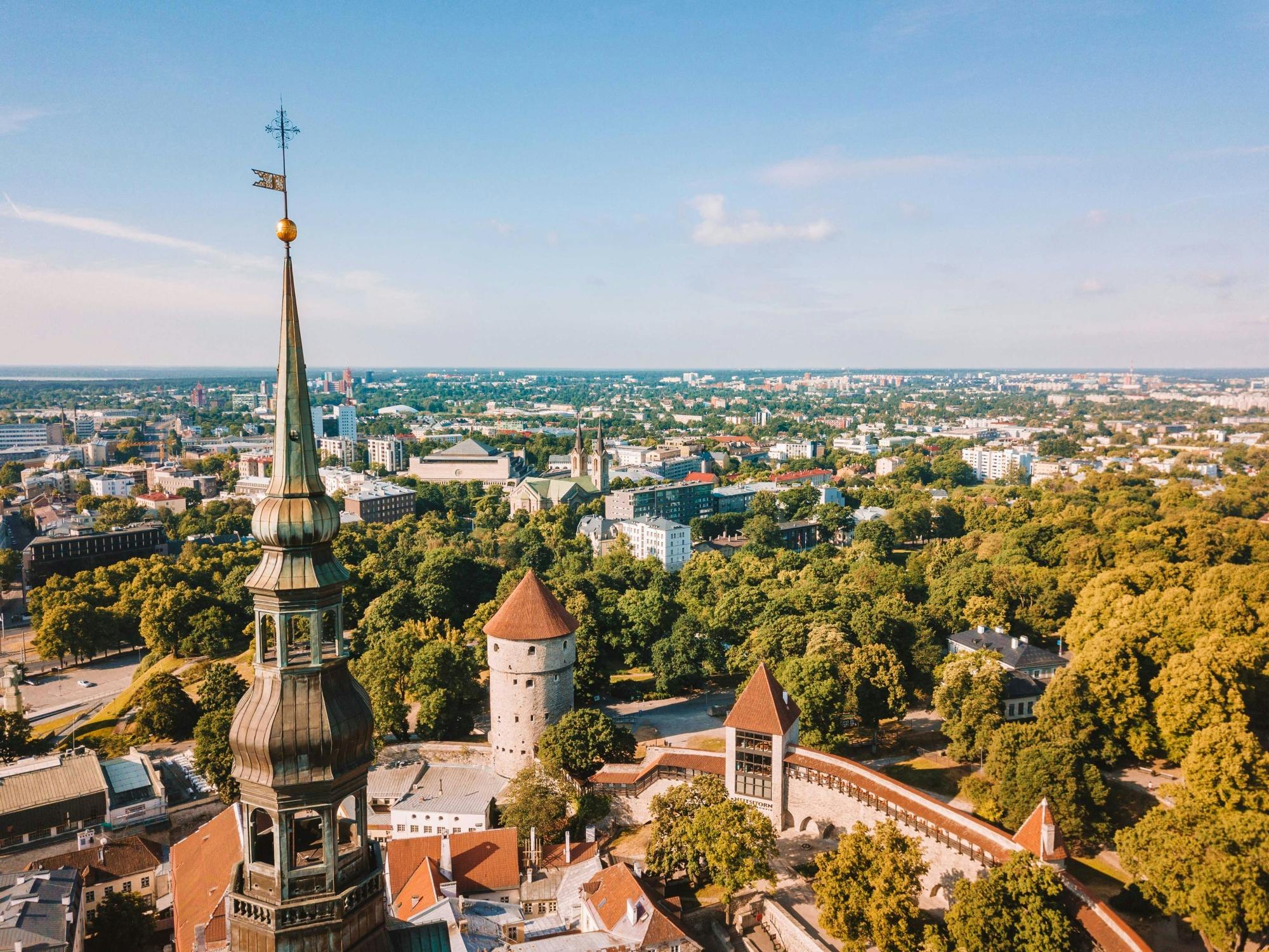 Explore Tallinn's photogenic highlights with a local