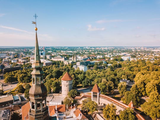 Explore Tallinn's photogenic highlights with a local