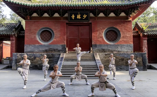 Zhengzhou private cultural tour to Shaolin temple and Longmen Grottoes