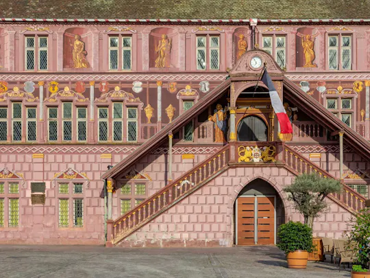 Mulhouse 2-hour introductory walking tour with a local