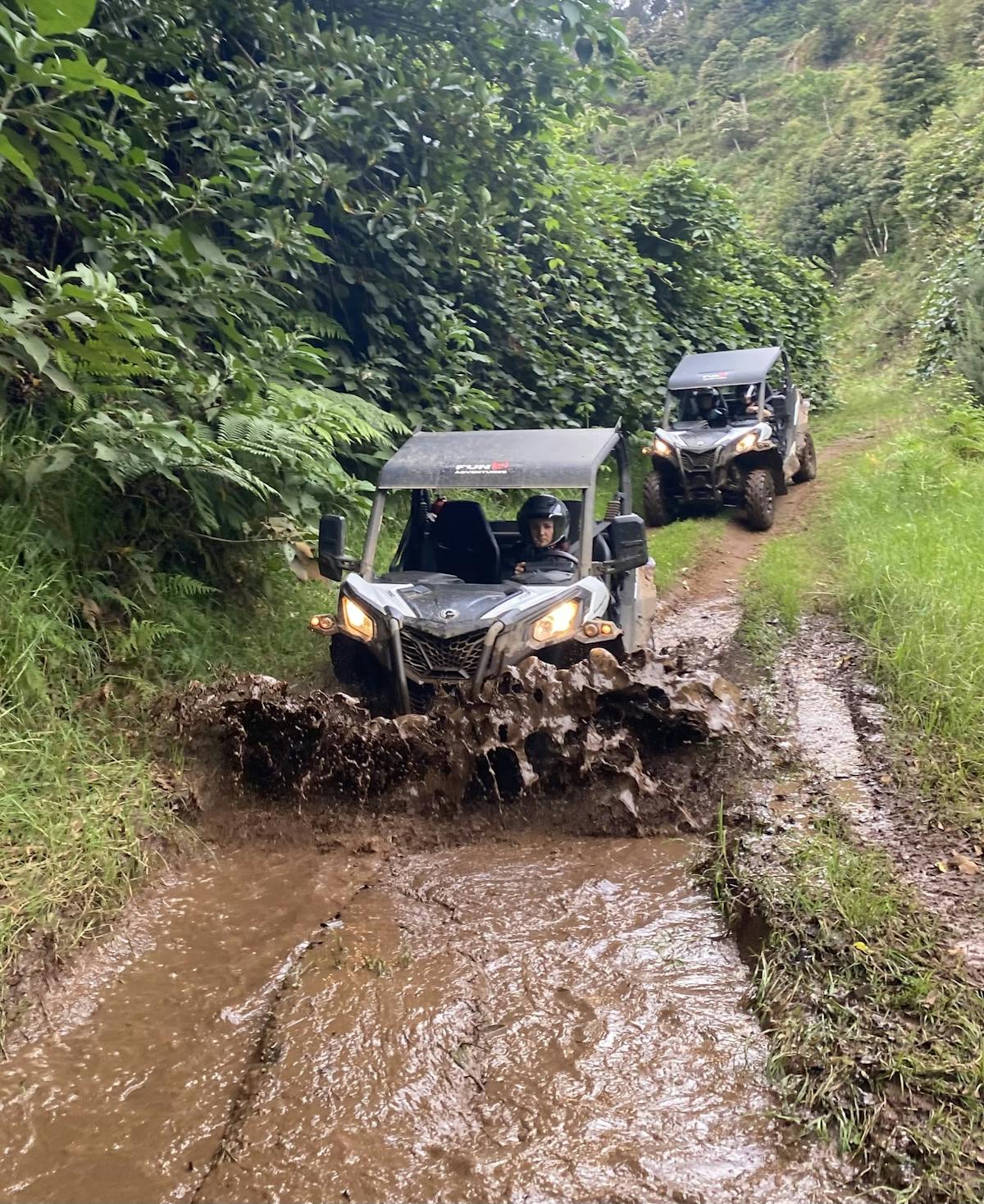 Privé buggy off-road rijden op Madeira