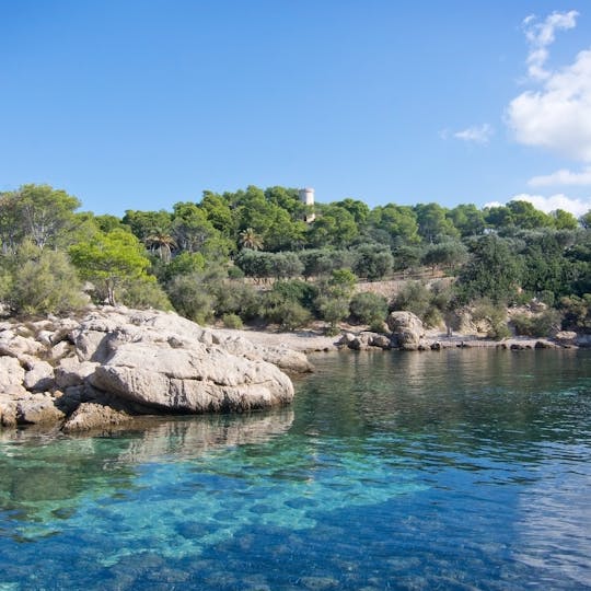 Boat trip from Sant Elm to Dragonera Island Natural Park