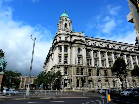 Belfast 1-hour tour with a local
