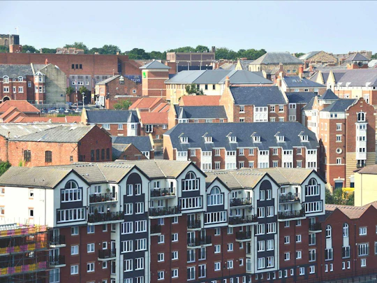 Newcastle 1-hour tour with a local