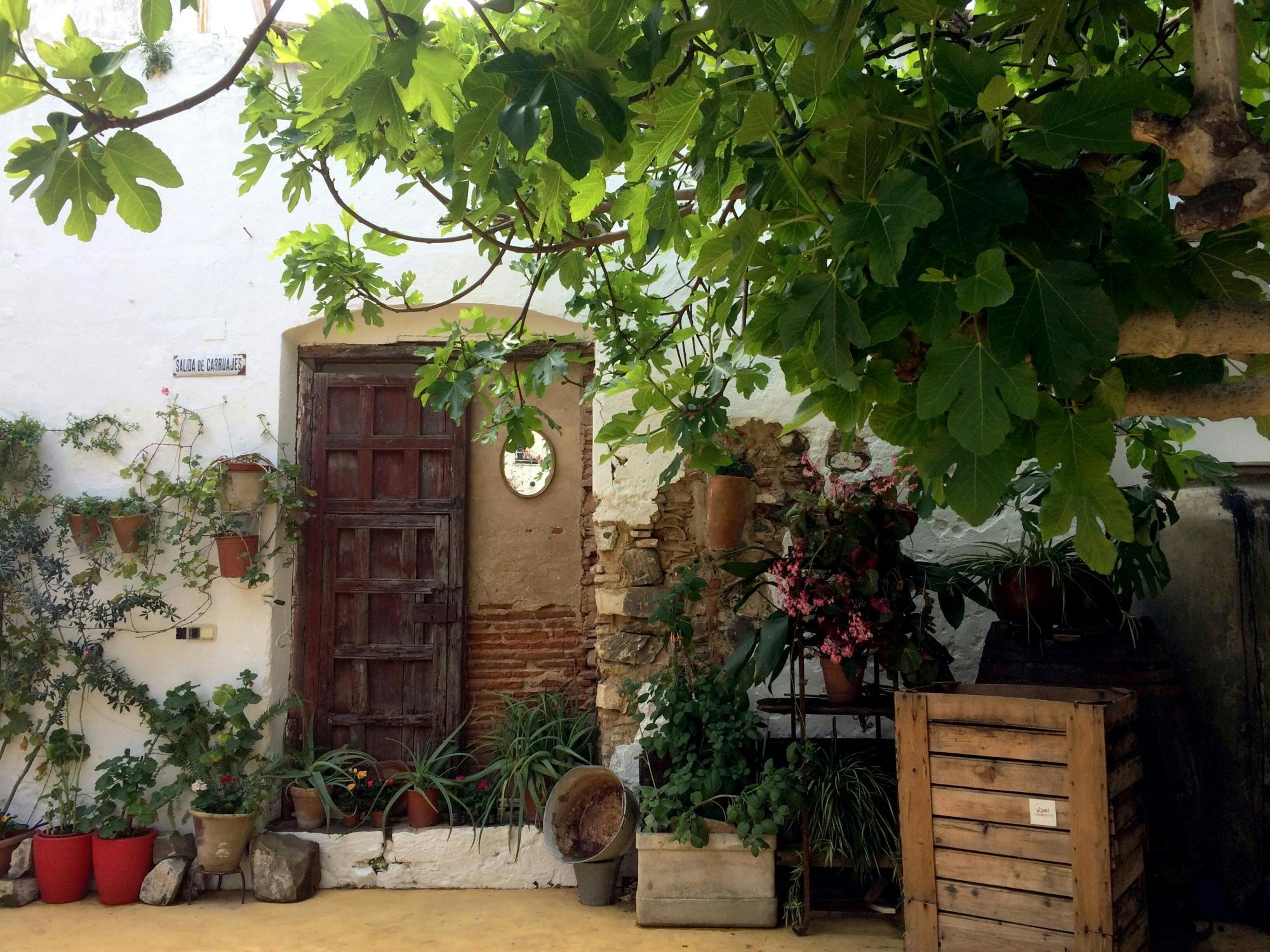 Tour of authentic Andalusian town Ayamonte from the Algarve