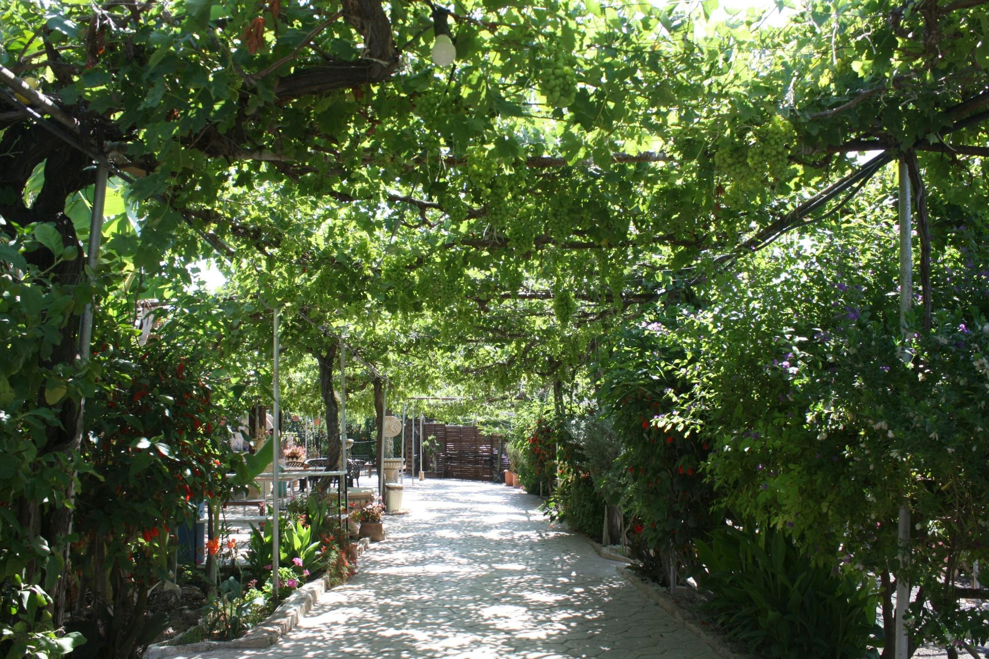 Caledonia Waterfalls full-day tour with hike and lunch