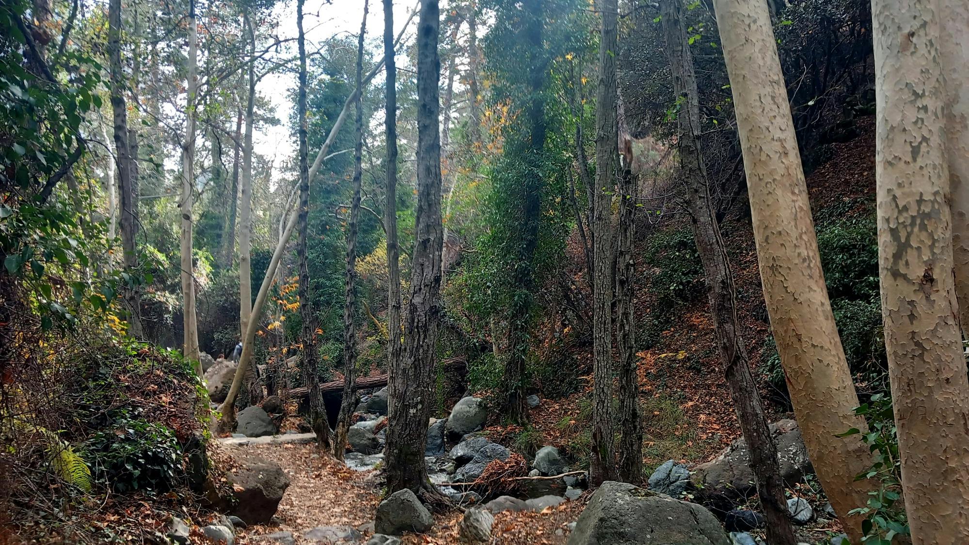 Caledonia Waterfalls full-day tour with hike and lunch