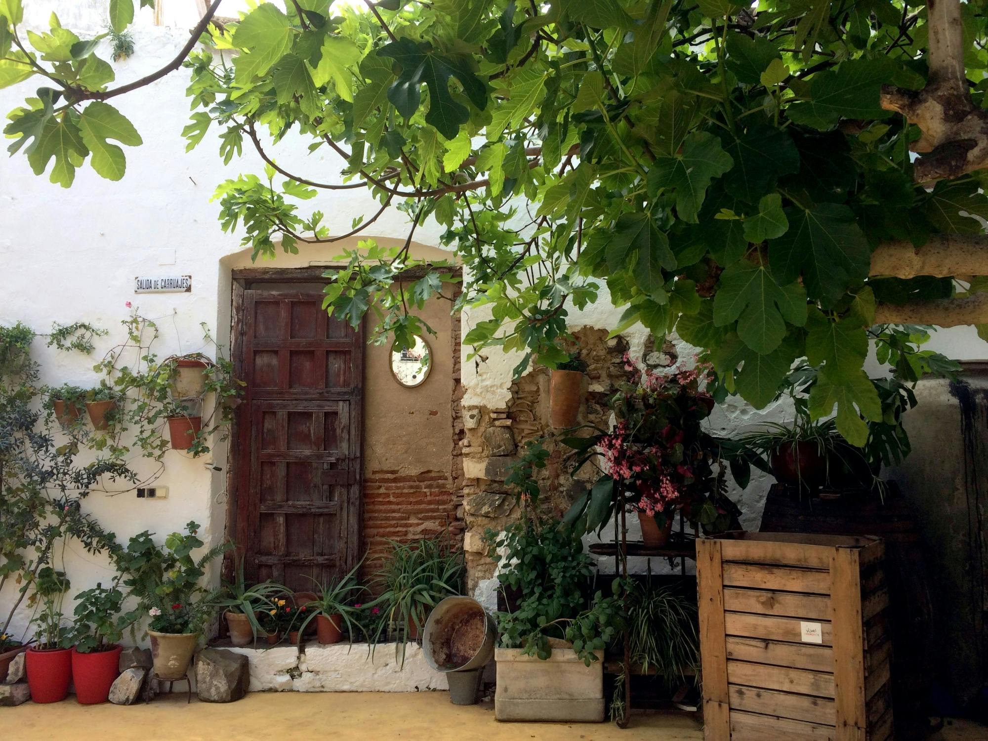 Tour of authentic Andalusian town Ayamonte from the Algarve