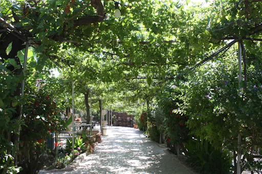 Caledonia Waterfalls full-day tour with hike and lunch