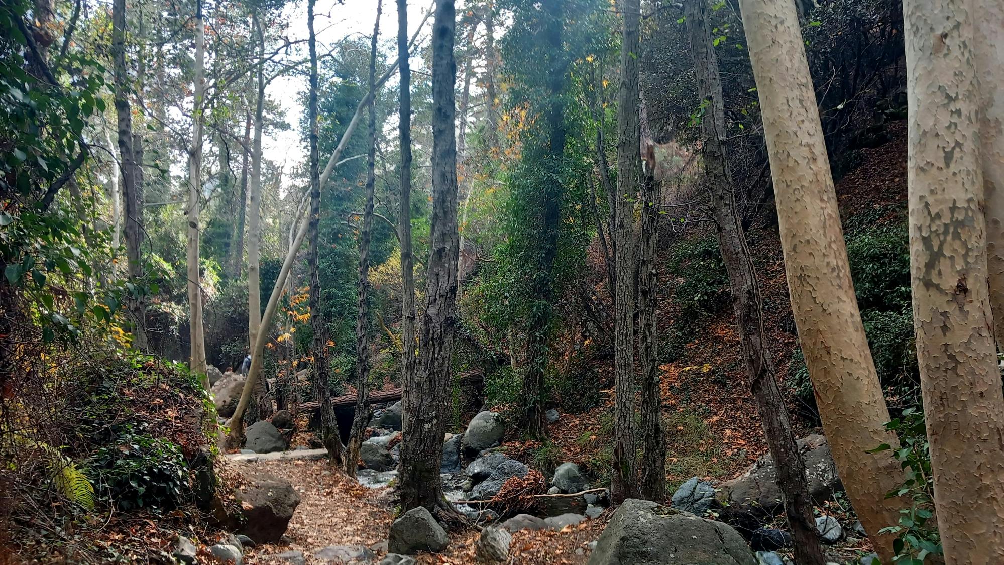 Caledonia Waterfalls full-day tour with hike and lunch