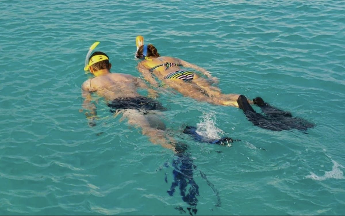 Snorkeltour bij Playa de Los Cancajos met professionele gidsen