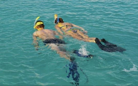 Snorkelling tour at Playa de Los Cancajos with professional guides