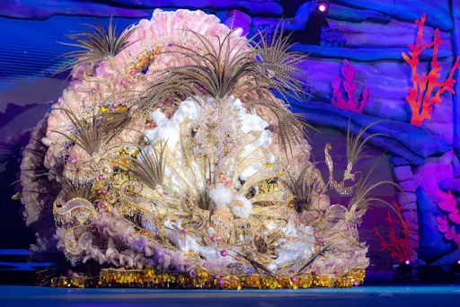 Transfer to Tenerife Carnival – 04.03.2025