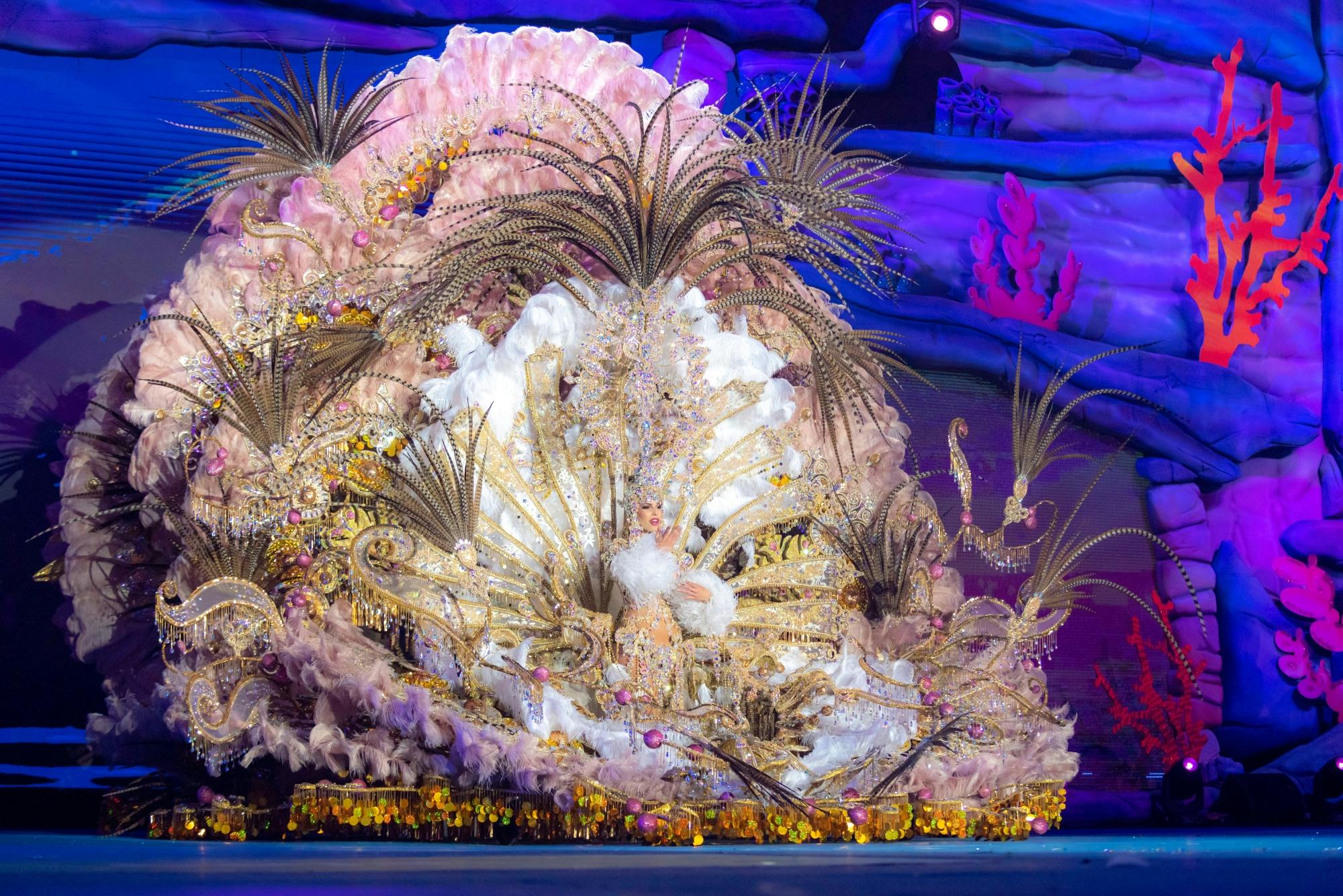 Transfer to Tenerife Carnival – 04.03.2025