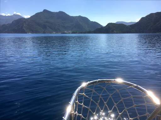 Paradise Bay sailboat cruise