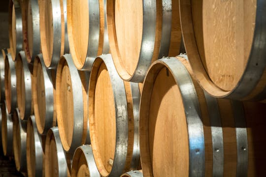 Degustazione di vini sull'Etna