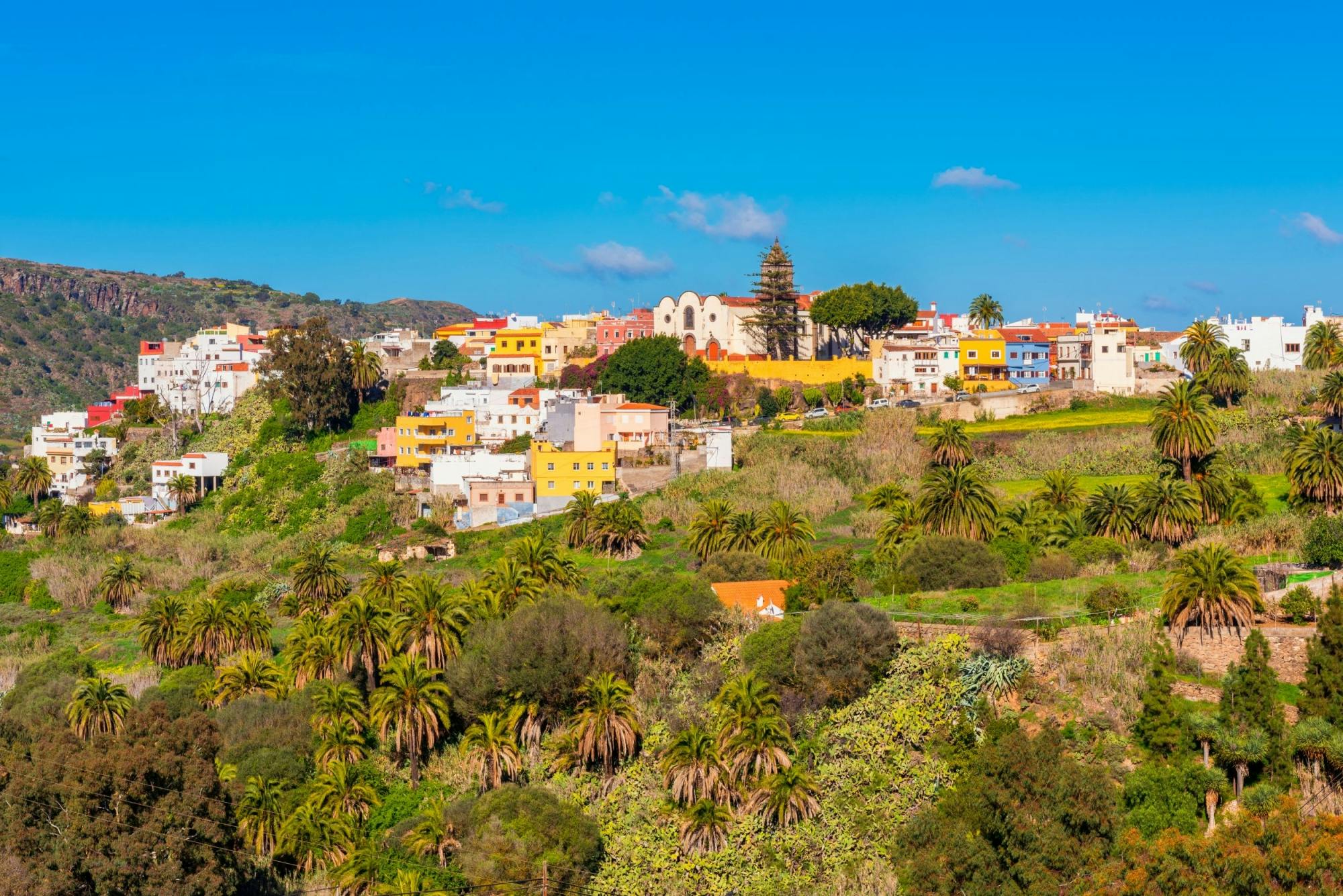 Sunday market tour in Santa Brígida, San Mateo and Teror