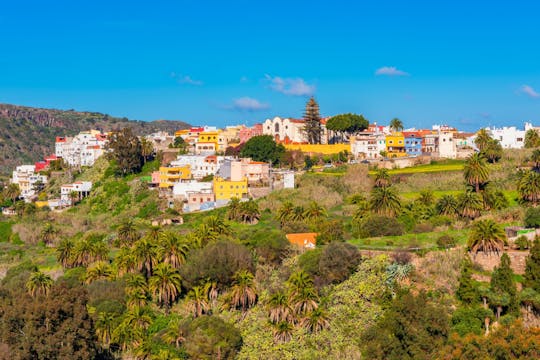 Sunday market tour in Santa Brígida, San Mateo and Teror