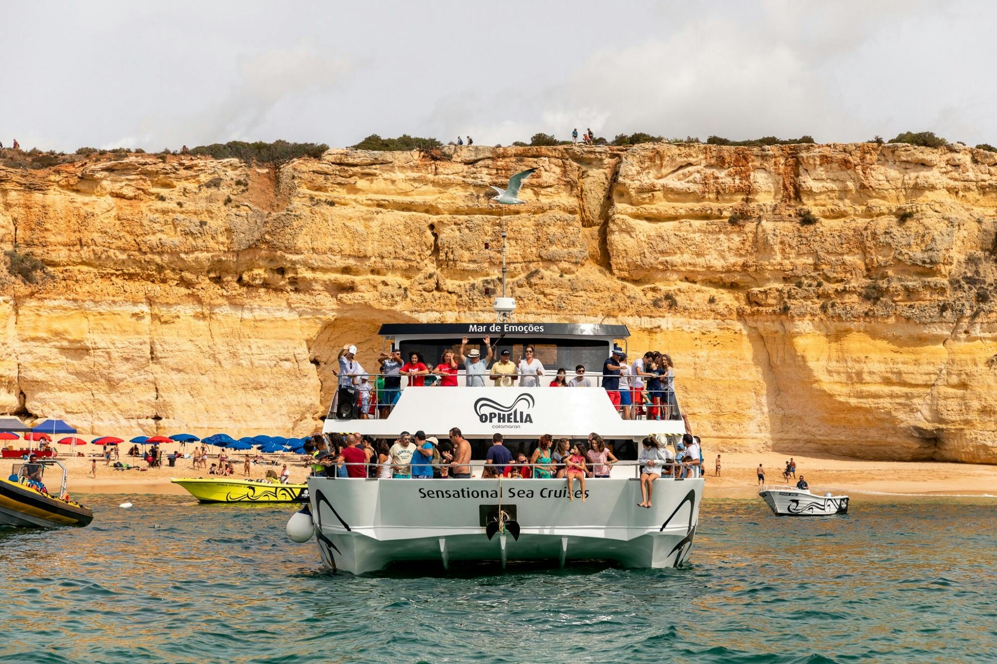 Ophelia Catamaran & BBQ with Transport