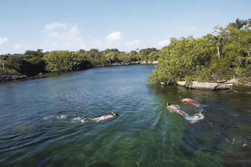 Xel-Ha Light Park ticket with transfer