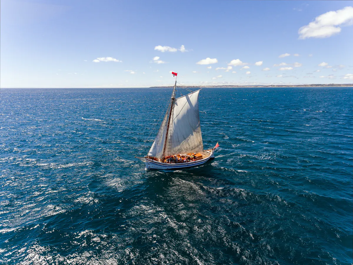 Gageiro Sailing with Drinks and Tapas Full Day Trip