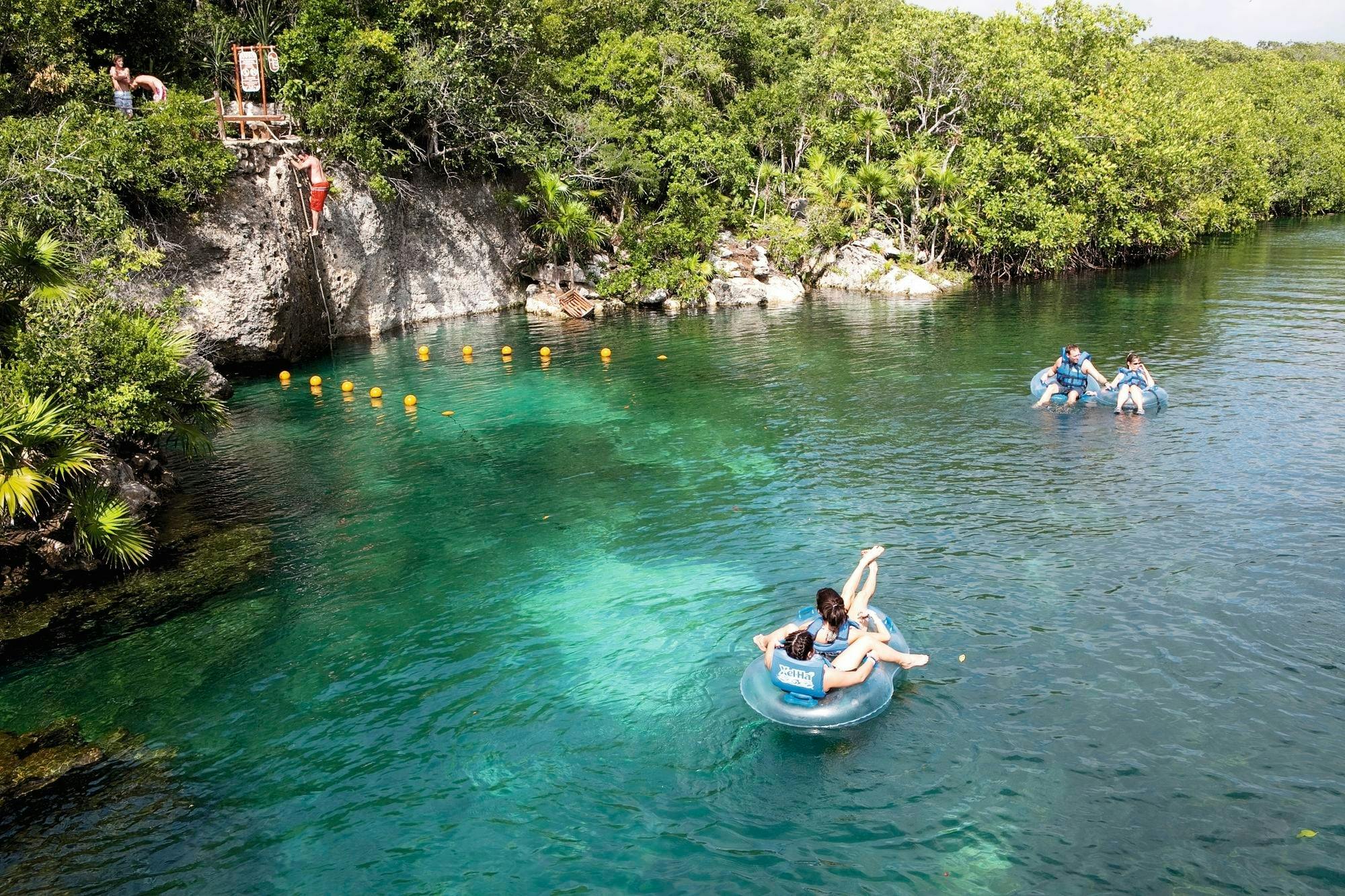 Nage avec les dauphins de Delphinus et billet d'entrée au Xel-Ha Light Park avec transfert