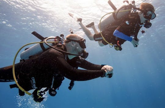 Atlantic try dive experience in La Palma