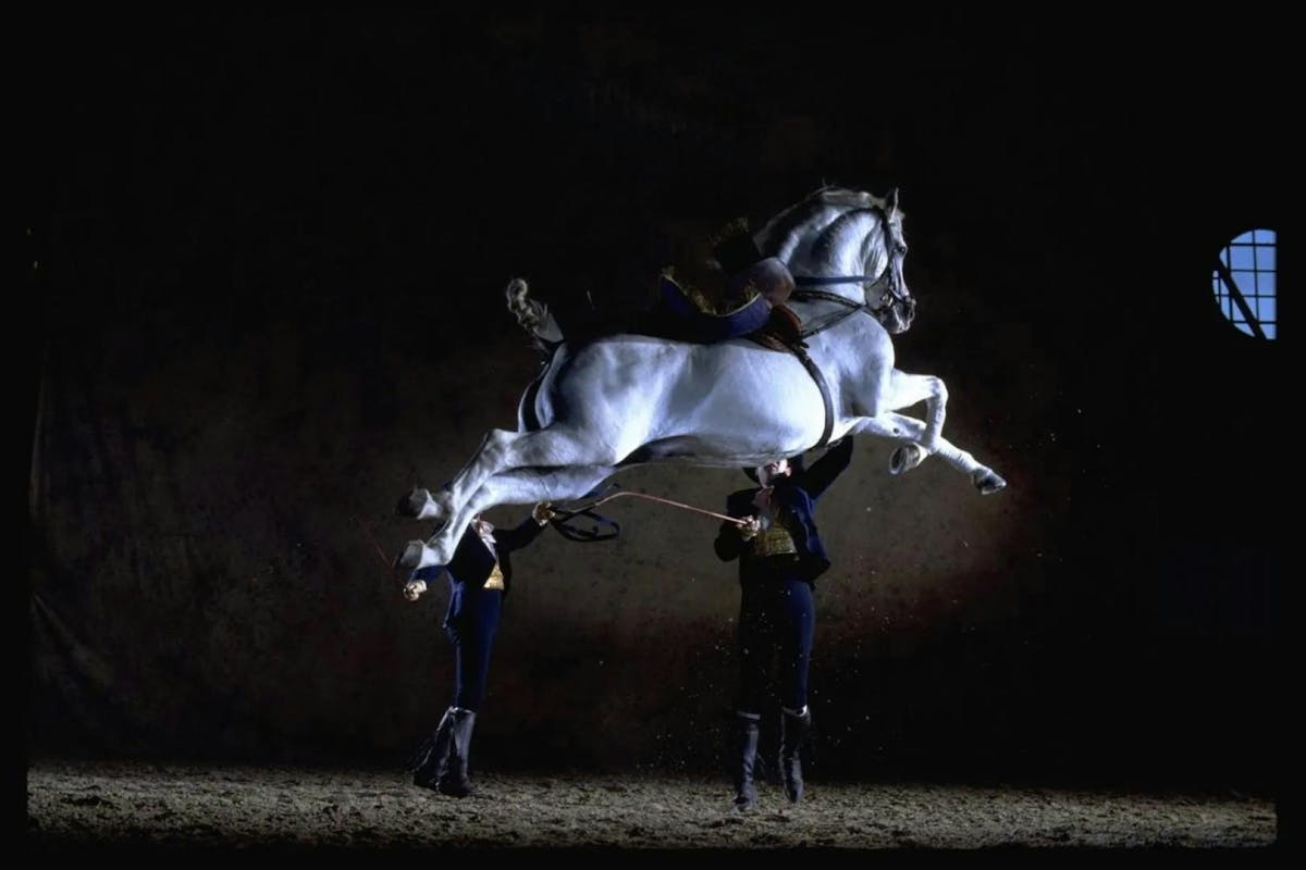 Dagtocht naar Jerez en Cádiz vanaf Sevilla met paardenshow