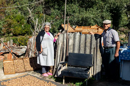 Algarve 4x4 Off-road Safari