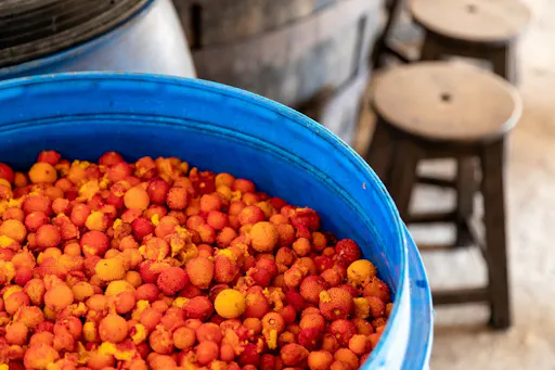 Algarve Off-Road Safari & Boat Cruise Tour