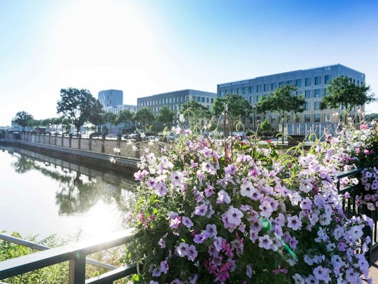 Scoprite Mulhouse con una visita guidata a piedi con un abitante del luogo