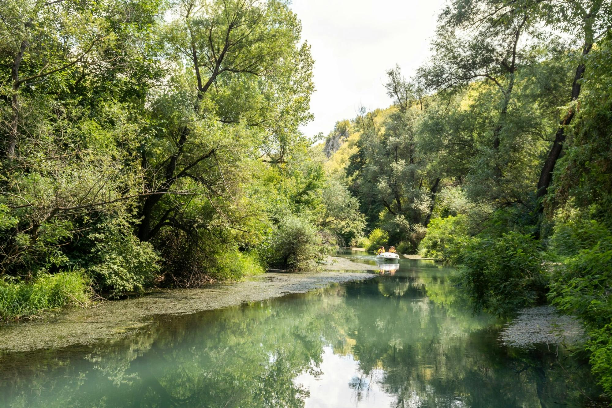 Karaagach River kayaking tour in Strandzha National Park