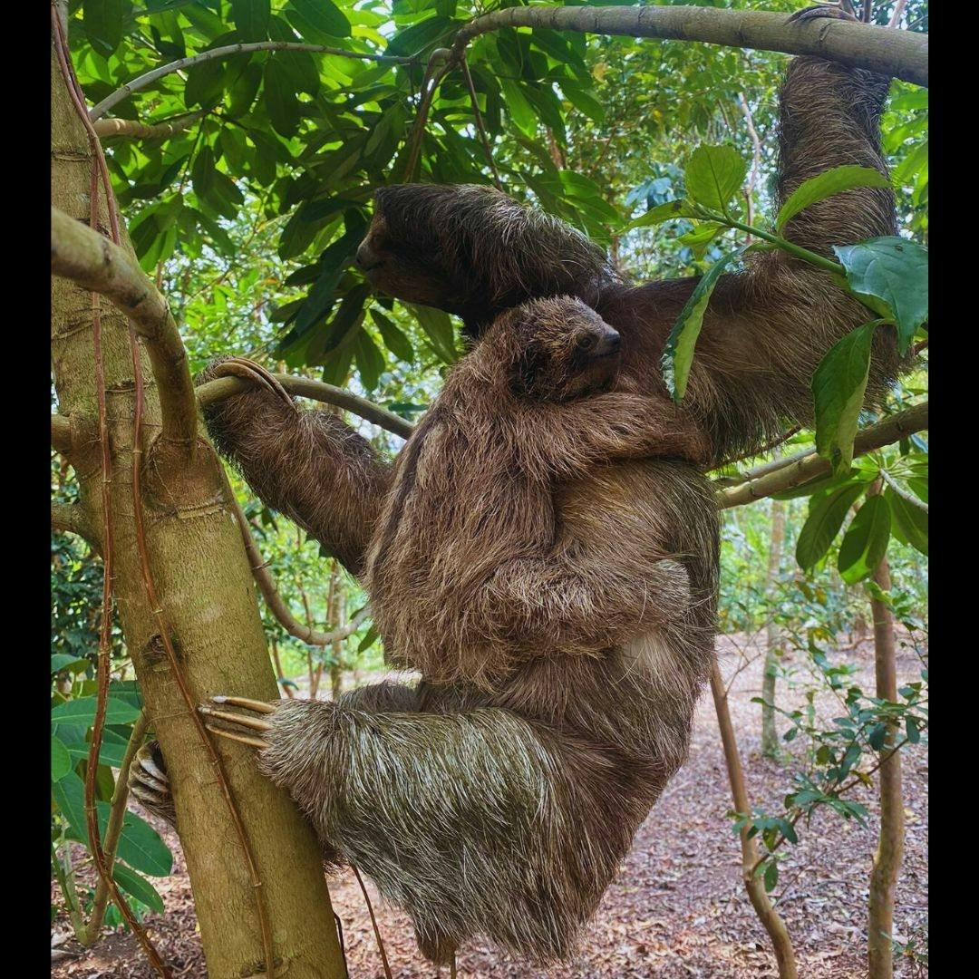 Costa Rica flavours and nature experience