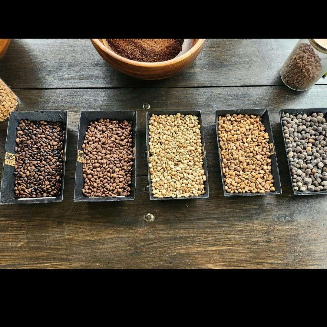 Costa Rica flavours and nature experience