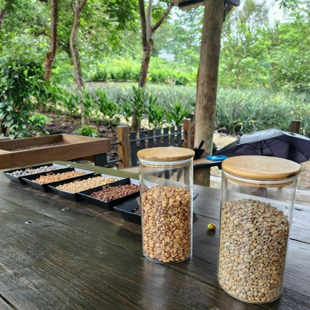 Costa Rica flavours and nature experience