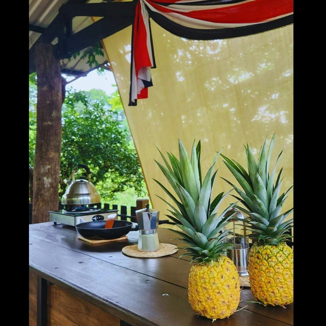 Costa Rica flavours and nature experience