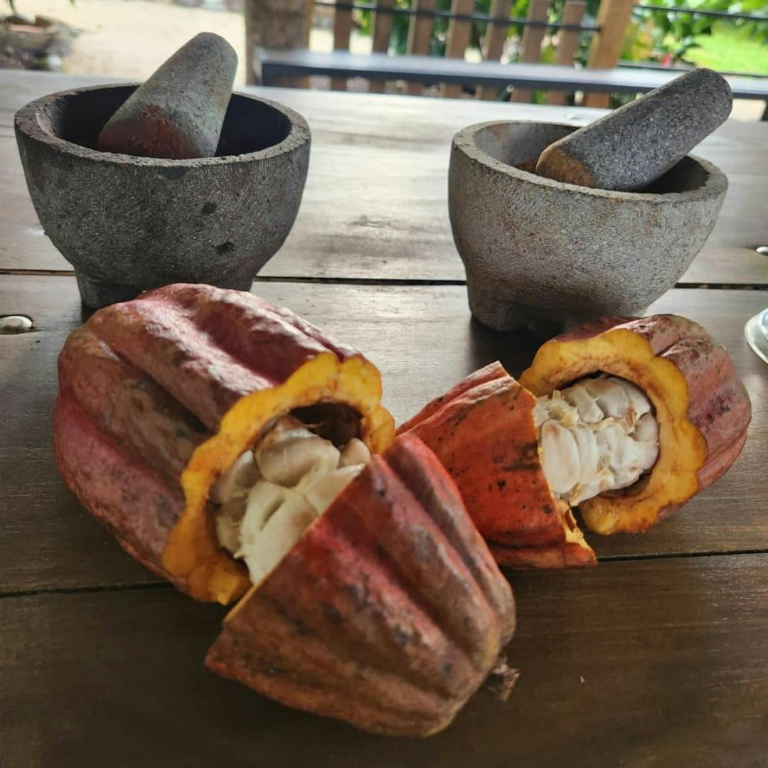 Costa Rica flavours and nature experience