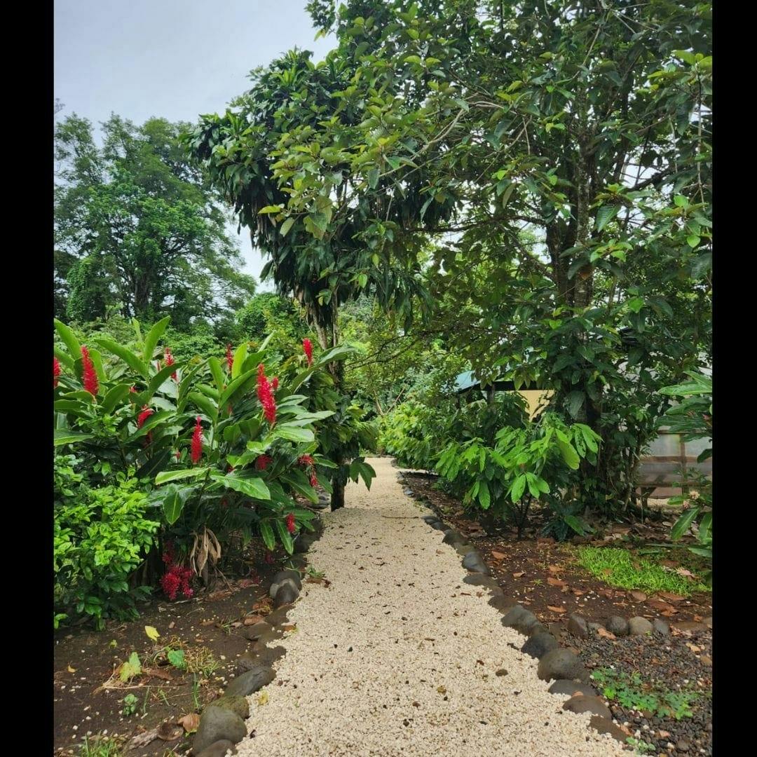 Costa Rica flavours and nature experience