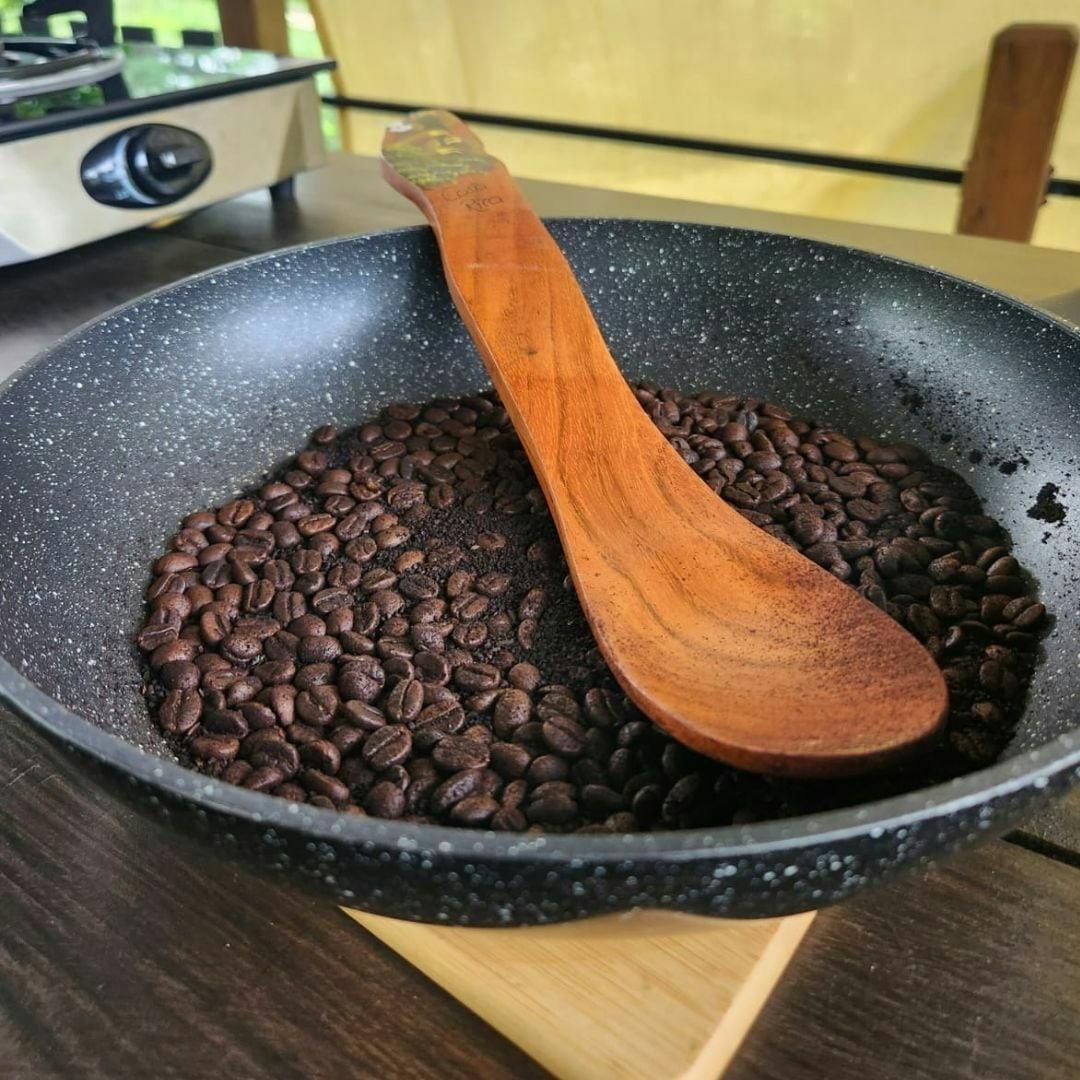 Costa Rica flavours and nature experience