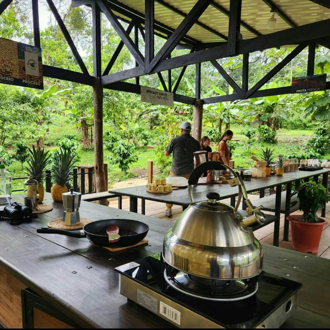 Costa Rica flavours and nature experience