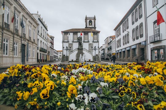 Ponta Delgada tourist train ride and pineapple plantation tour