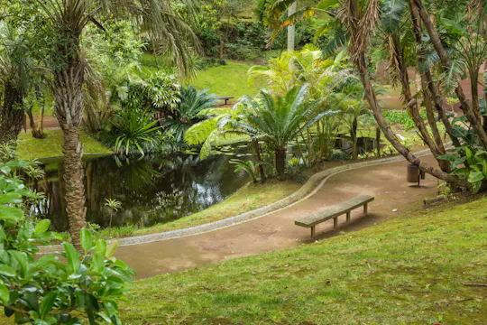 Tour dei giardini di Ponta Delgada in treno turistico