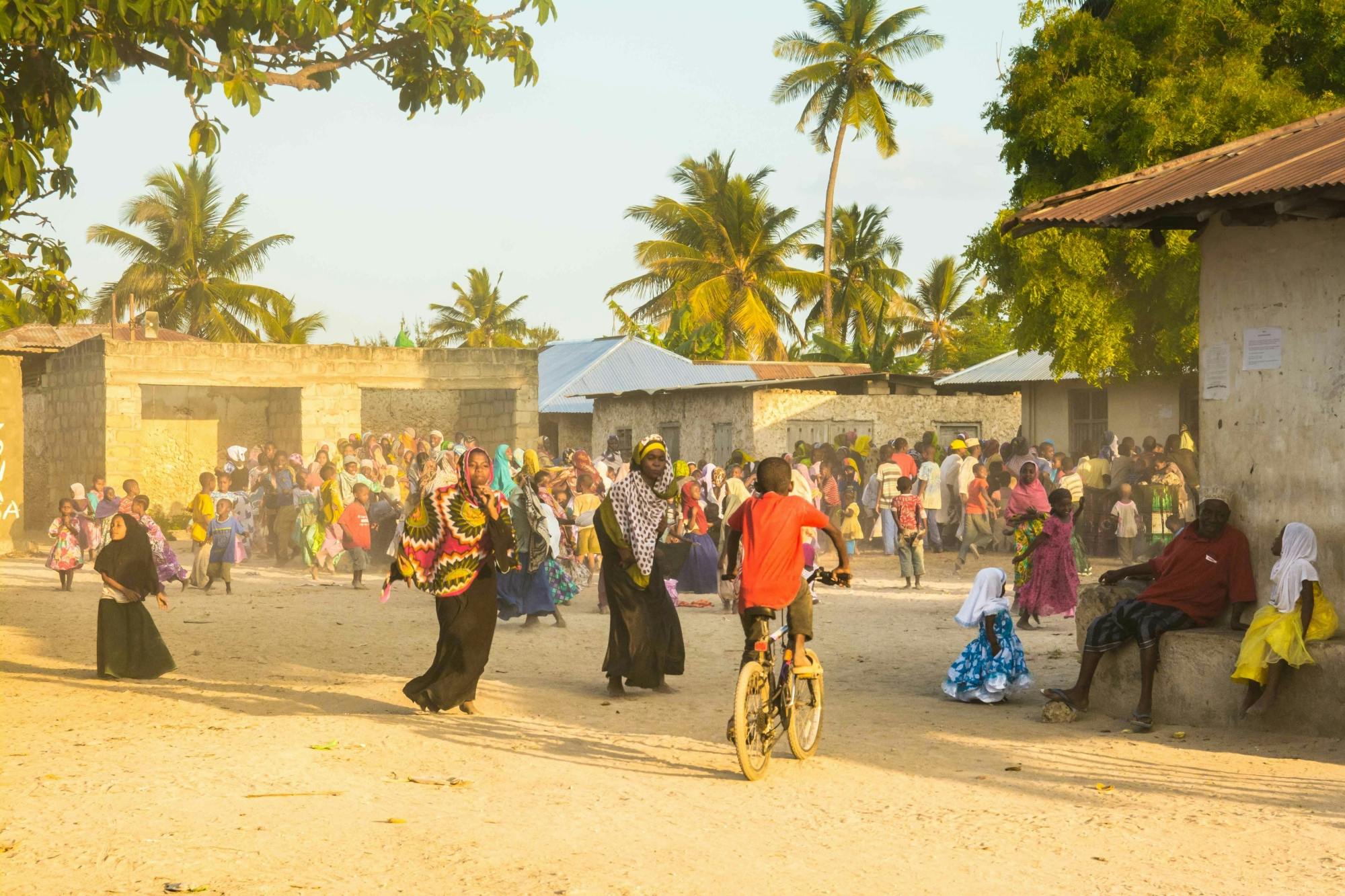 Zanzibar culture and traditions private tour with seaweed centre visit