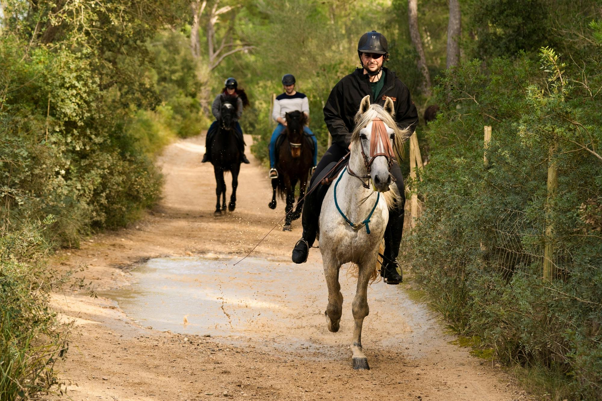 Dynamic horseback adventure through rural Mallorca