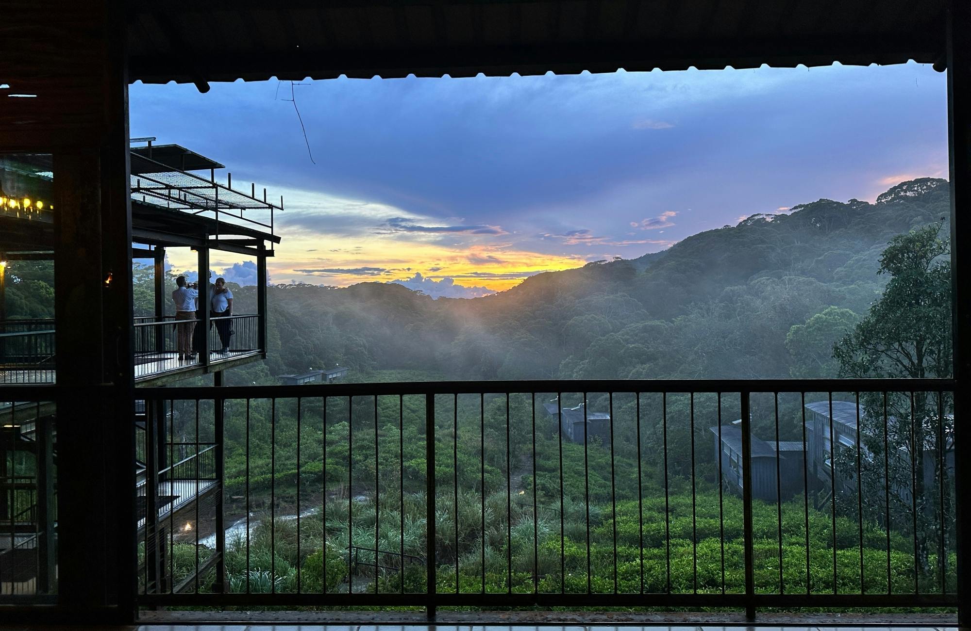 Sri Lanka rainforest two-day tour in Sinharaja Eco Lodge