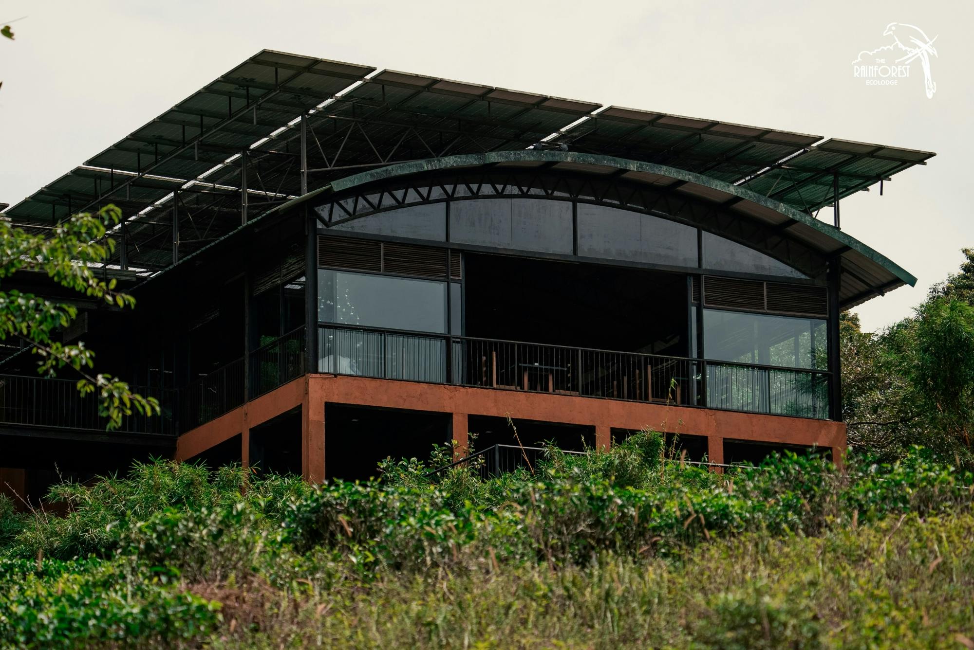 Sri Lanka rainforest two-day tour in Sinharaja Eco Lodge