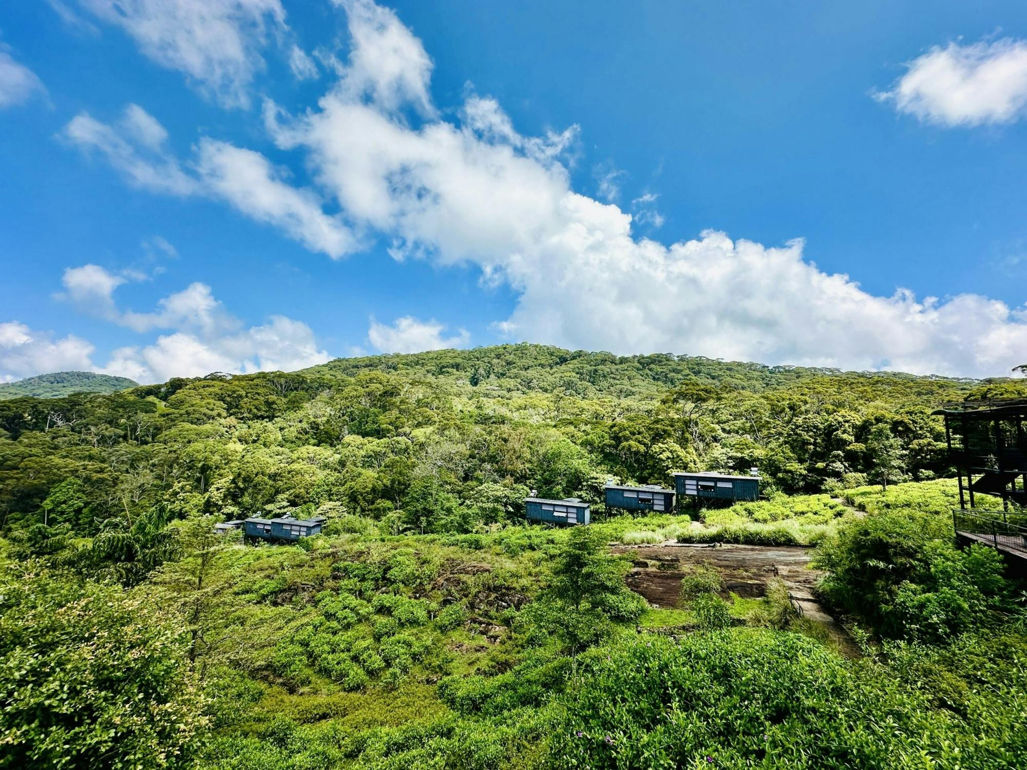 Sri Lanka rainforest two-day tour in Sinharaja Eco Lodge